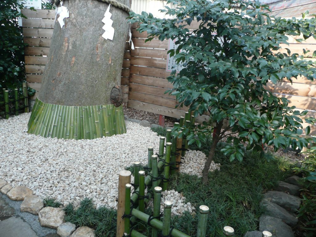 川口市　鎮守氷川神社様　御神木工事