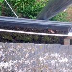 雨樋の詰り点検承っています。