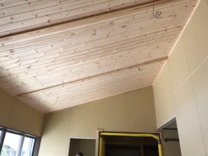 伊奈町平屋の家