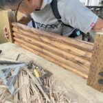 氷川神社様　御神木ケヤキ