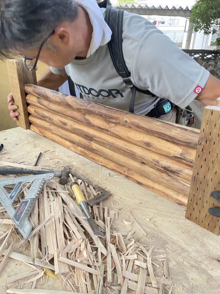 氷川神社様　御神木ケヤキ