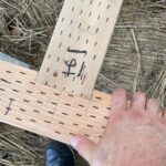 氷川神社様　御神木ケヤキ　ウッドデッキ工事