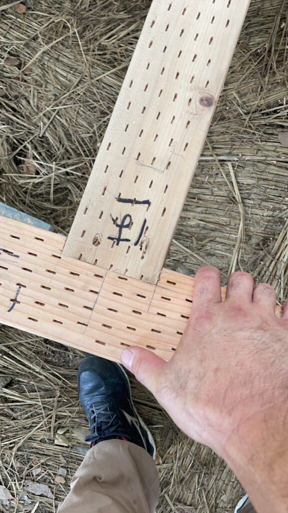 氷川神社様　御神木ケヤキ　ウッドデッキ工事