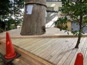 氷川神社様　御神木ケヤキ　ウッドデッキ工事②